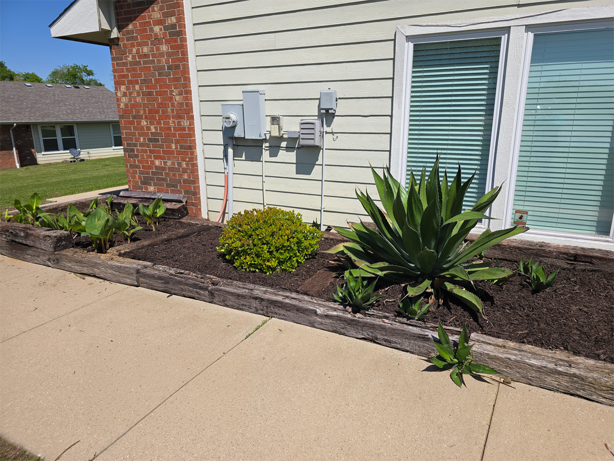 Commercial lawn care maintenance Texas